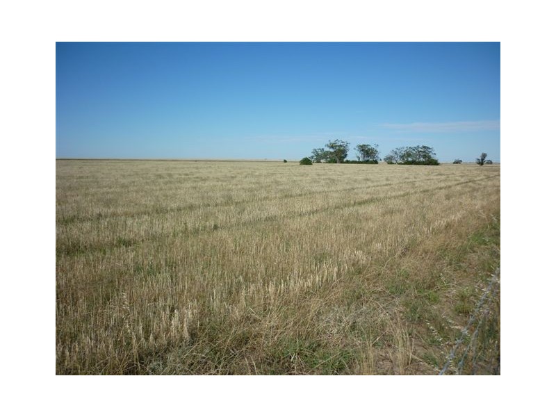 Lot CA6 Sec12,  Parish of Witchipool, Massey VIC 3482