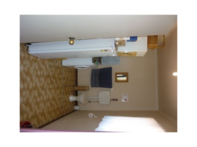 4 Johnson Street South, Birchip VIC 3483