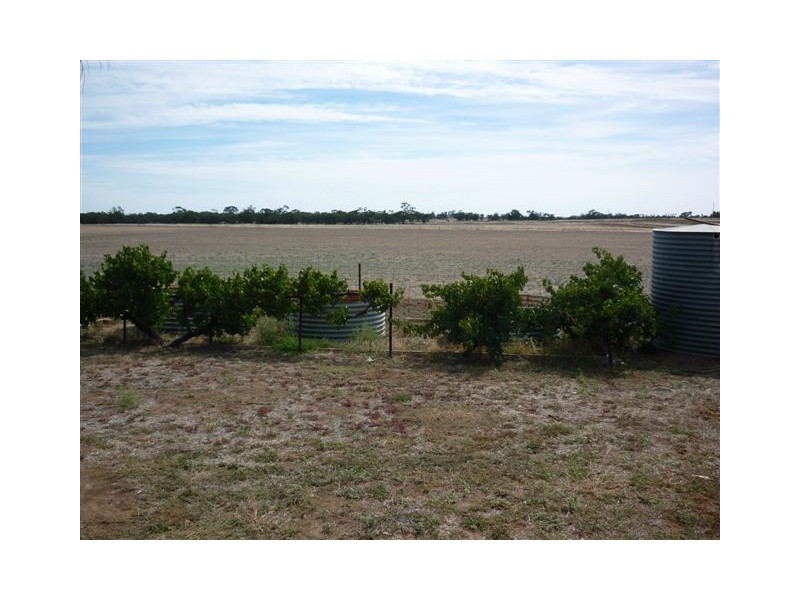 5 Katunga Street, Jeparit VIC 3423