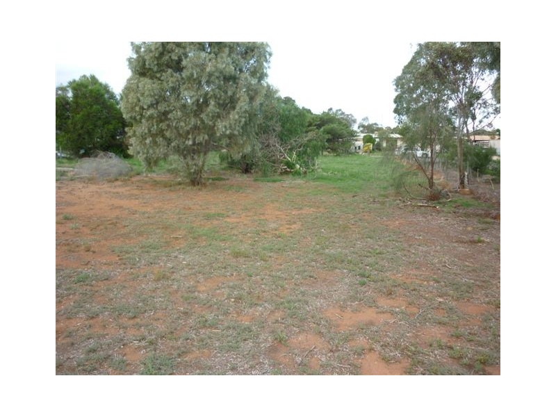 21 Elizabeth Street, Donald VIC 3480