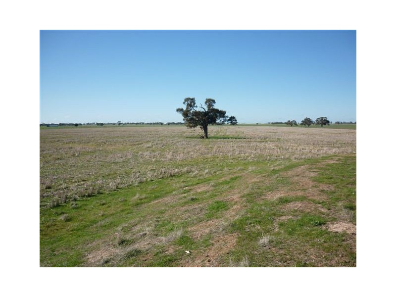 Government Road, Warracknabeal VIC 3393