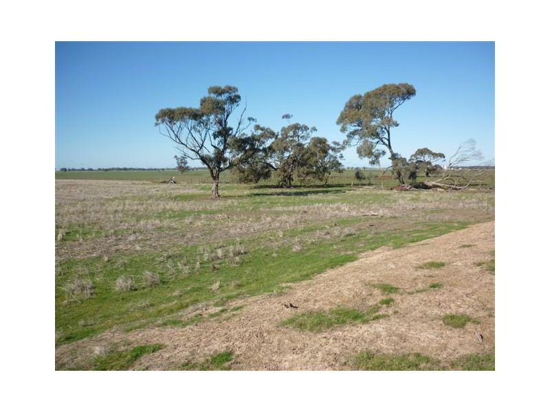 Government Road, Warracknabeal VIC 3393