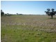 Government Road, Warracknabeal VIC 3393