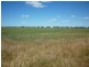 Murphy,s Road, Warracknabeal VIC 3393