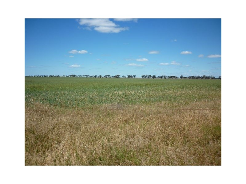 Murphy,s Road, Warracknabeal VIC 3393