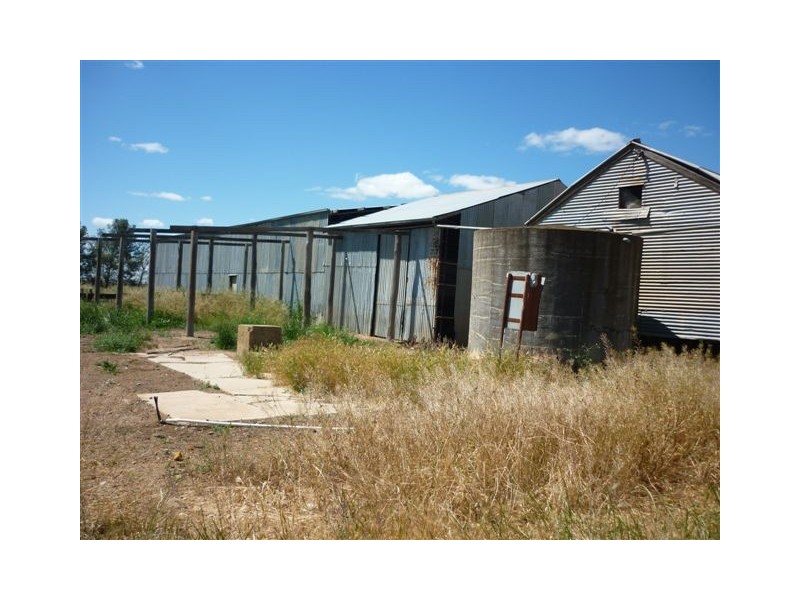 Murphy,s Road, Warracknabeal VIC 3393