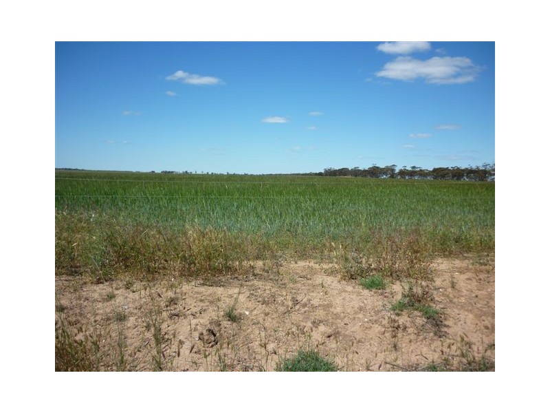 Murphy,s Road, Warracknabeal VIC 3393
