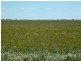 Murphy,s Road, Warracknabeal VIC 3393