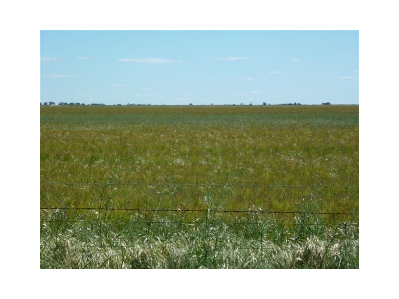 Murphy,s Road, Warracknabeal VIC 3393