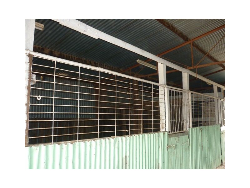 6 Church street, Woomelang VIC 3485