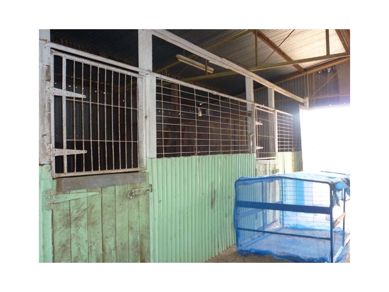 6 Church street, Woomelang VIC 3485