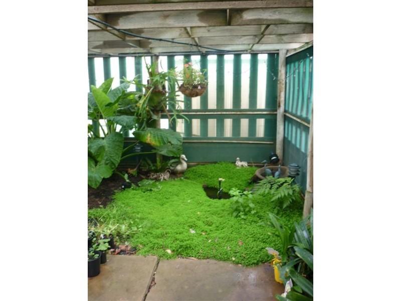 10 Wood Street, Warracknabeal VIC 3393