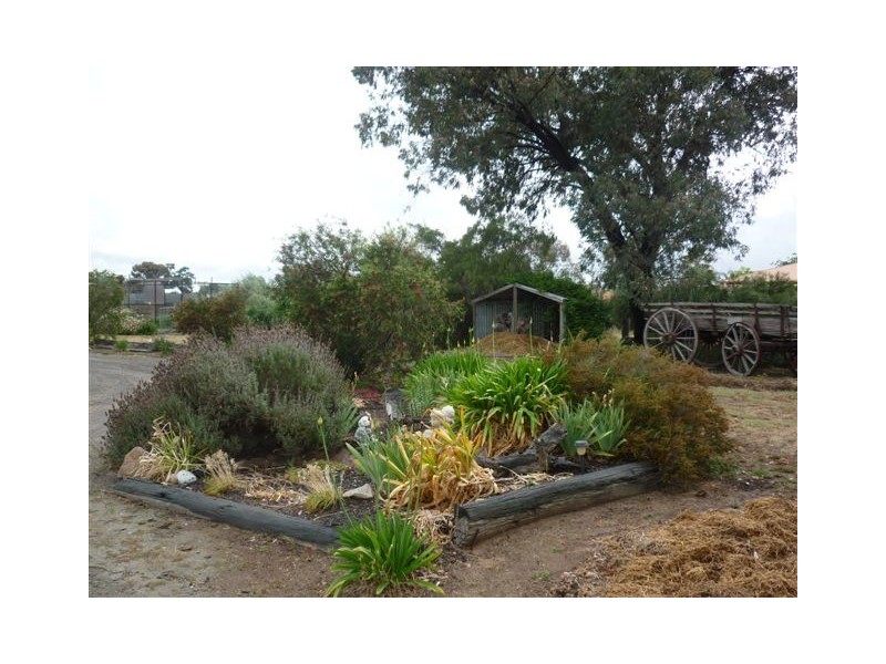 10 Wood Street, Warracknabeal VIC 3393