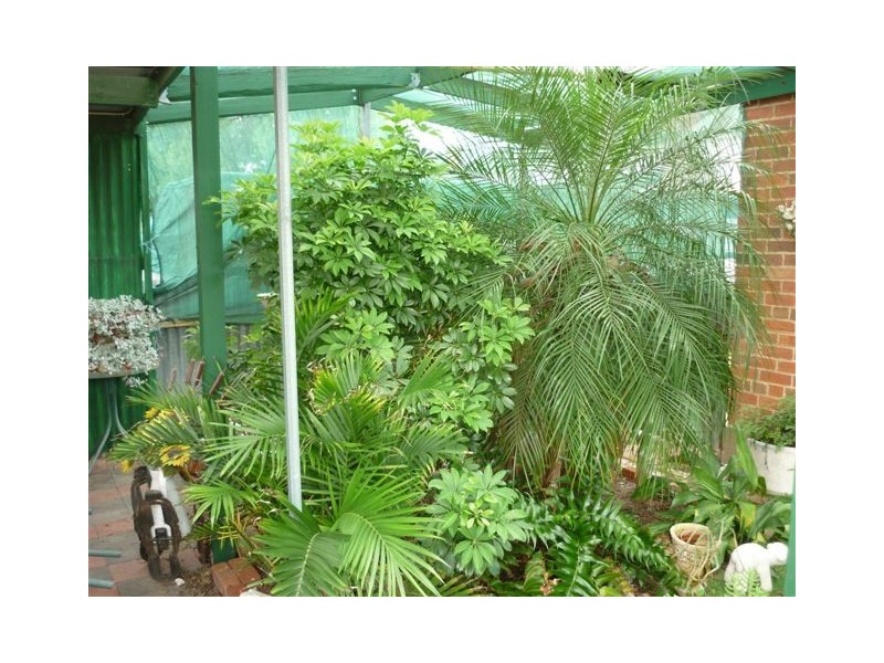 16 Broadway Street, Jeparit VIC 3423