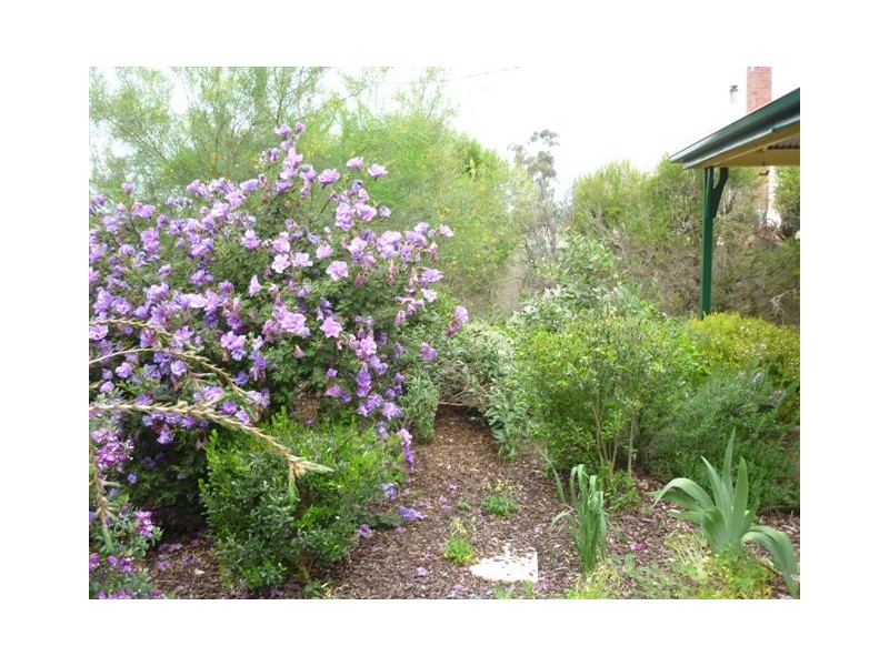 131 Ellerman Street, Dimboola VIC 3414