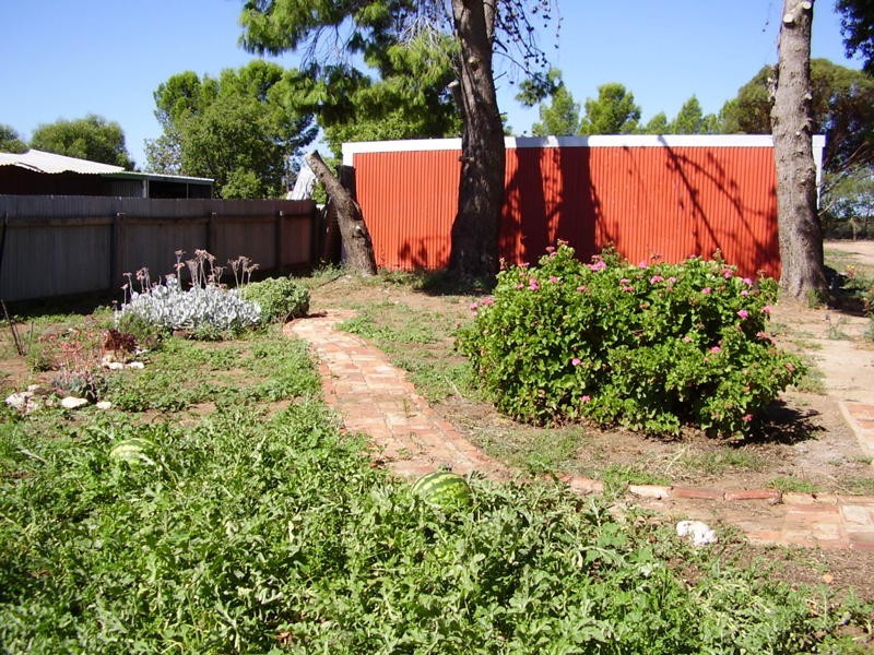 8 Carr Street, Woomelang VIC 3485