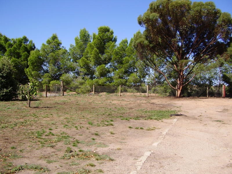 8 Carr Street, Woomelang VIC 3485