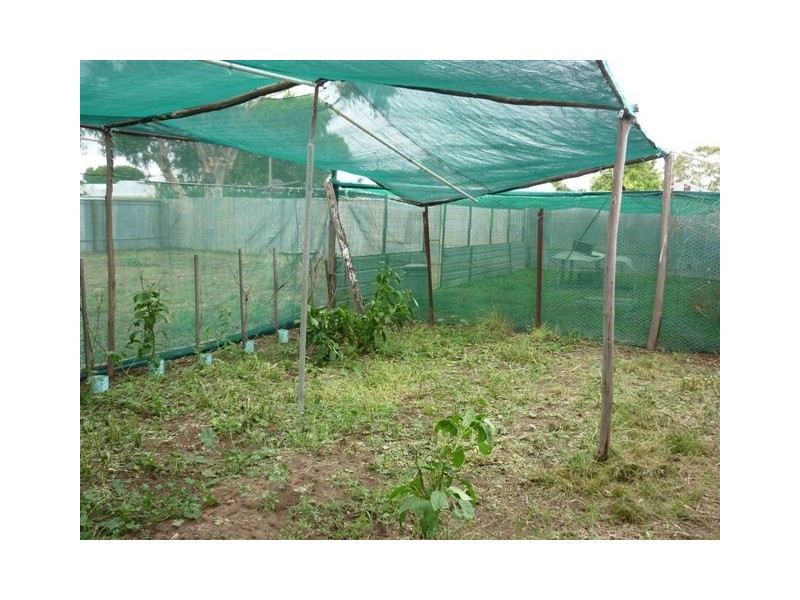 2 Dixon street, Brim VIC 3391