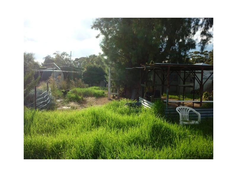 50 Camp street, Watchem VIC 3482