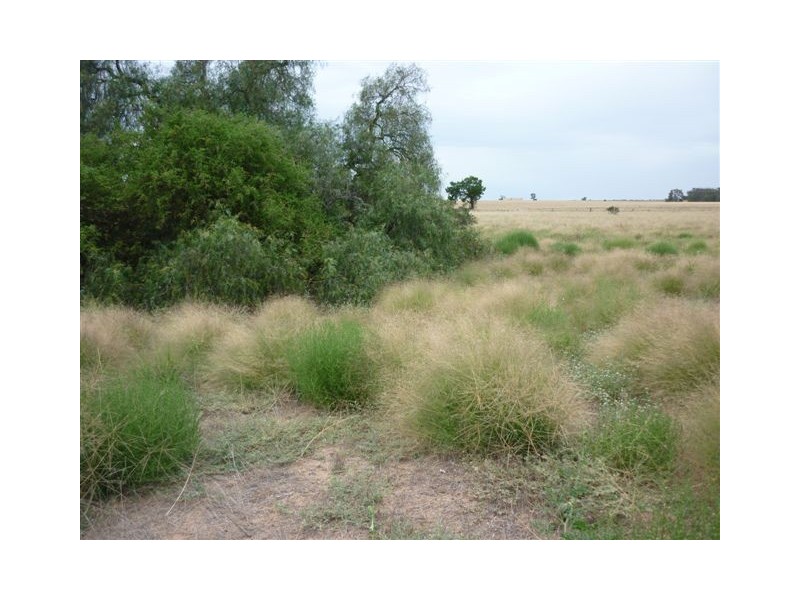 73 King street, Brim VIC 3391