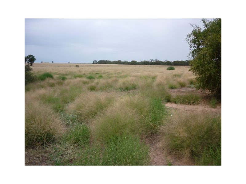 73 King street, Brim VIC 3391