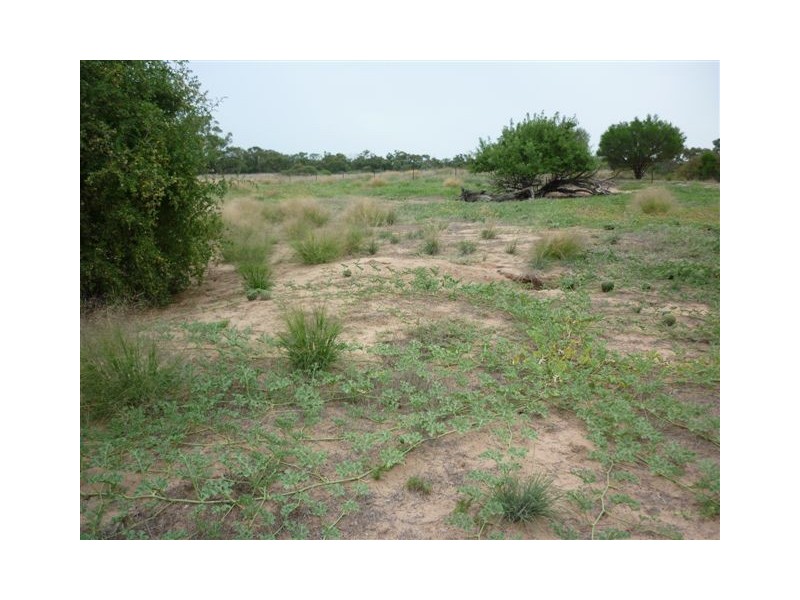 73 King street, Brim VIC 3391