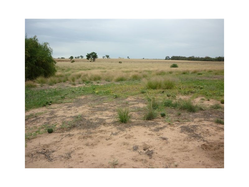 73 King street, Brim VIC 3391