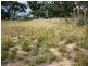 133 Jamouneau street, Warracknabeal VIC 3393