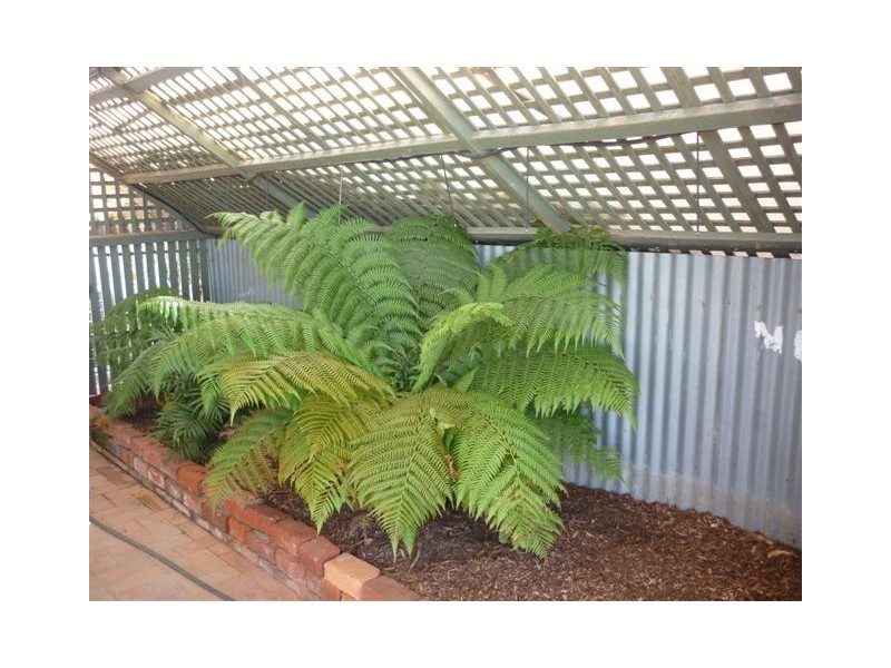 51 Anderson Street, Warracknabeal VIC 3393