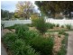 10A Jamouneau Street, Warracknabeal VIC 3393