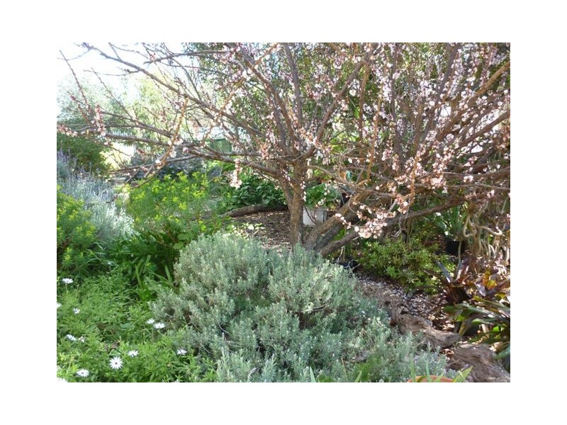 36 Woolcock Street, Warracknabeal VIC 3393