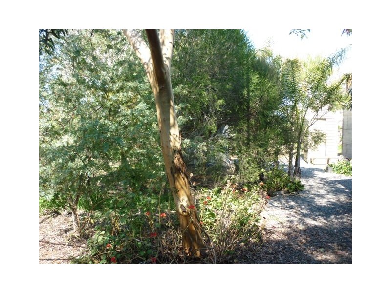13-15 Carroll Street, Minyip VIC 3392