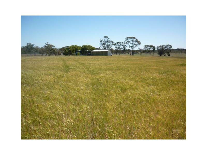 Village Settlement School Road, Dimboola VIC 3414