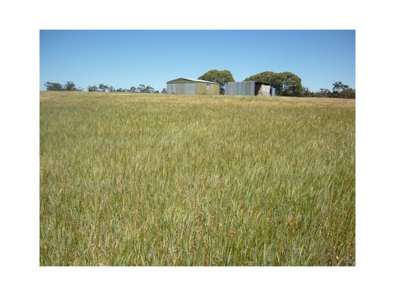 Village Settlement School Road, Dimboola VIC 3414