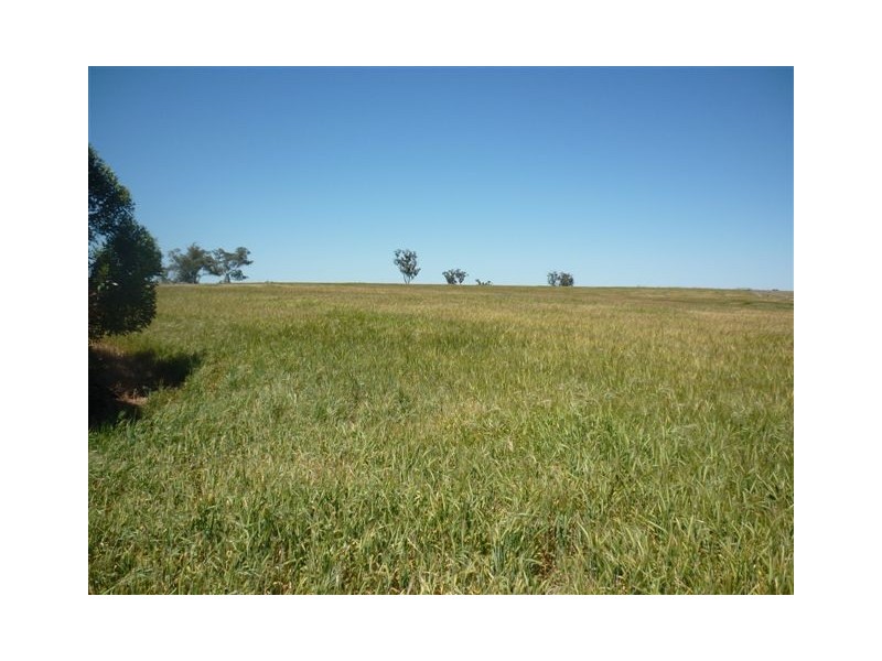 Village Settlement School Road, Dimboola VIC 3414