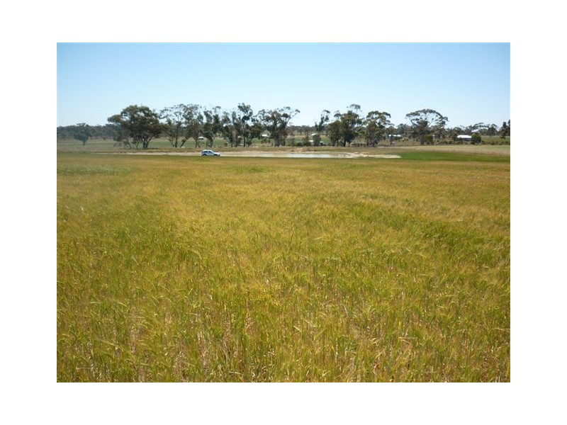 Village Settlement School Road, Dimboola VIC 3414