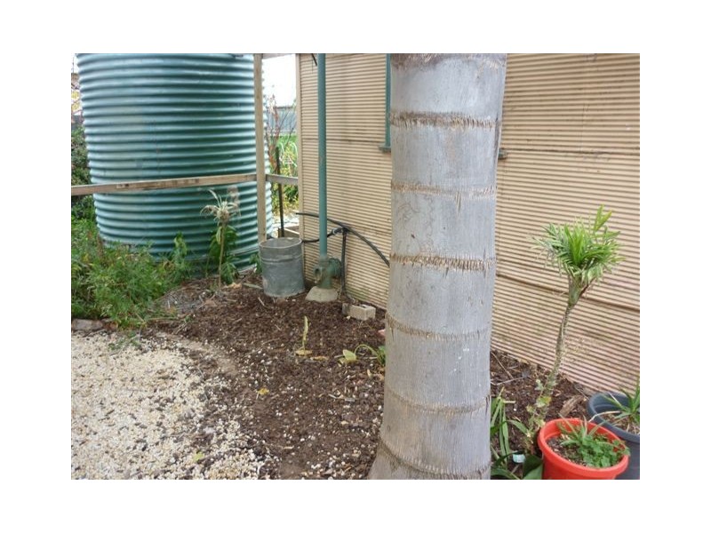 19 Charles Street, Jeparit VIC 3423