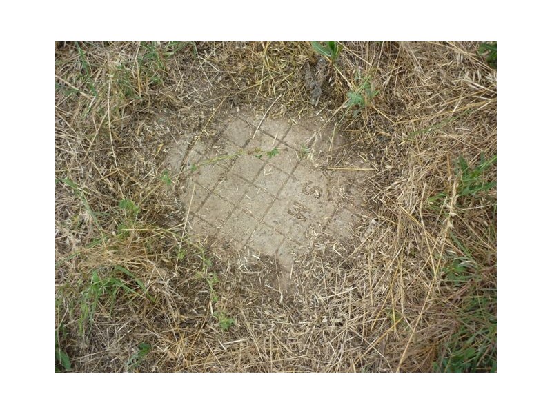 Railway Street, Warracknabeal VIC 3393