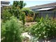 181 Scott Street, Warracknabeal VIC 3393