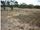 Lot 2lp113738,  Brikkle Road, Brim VIC 3391