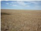 Lot 2lp113738,  Brikkle Road, Brim VIC 3391