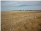 Lot 2lp113738,  Brikkle Road, Brim VIC 3391