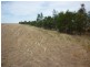 Lot 2lp113738,  Brikkle Road, Brim VIC 3391