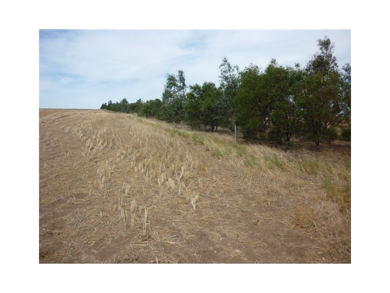 Lot 2lp113738,  Brikkle Road, Brim VIC 3391