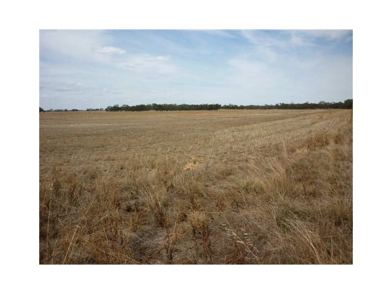 Lot 31A & 32,  Rainbow & Warracknabeal Road, Brim VIC 3391