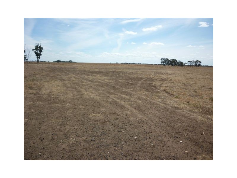 Lot 31A & 32,  Rainbow & Warracknabeal Road, Brim VIC 3391