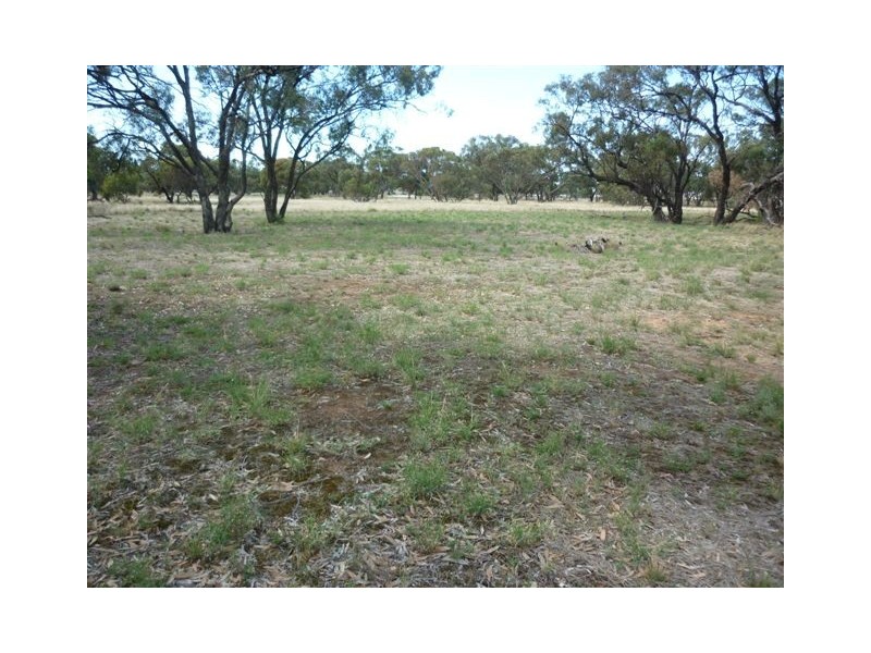 8 Swann Street, Brim VIC 3391