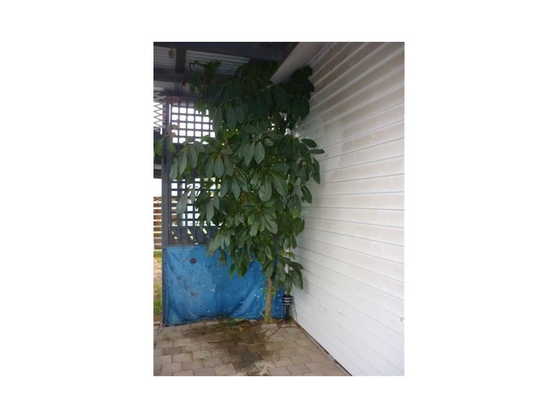 64 Jamouneau Street, Warracknabeal VIC 3393