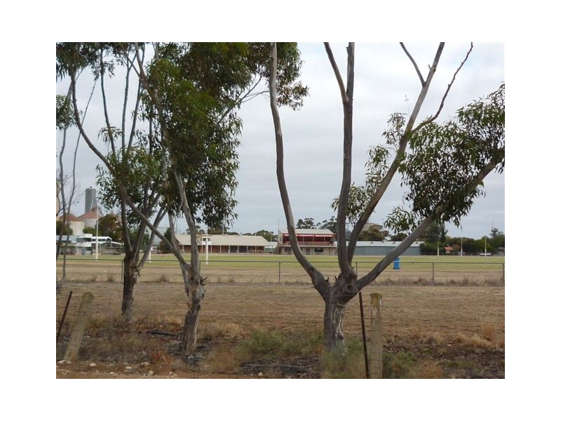 10 Dodgshun St, Hopetoun VIC 3396