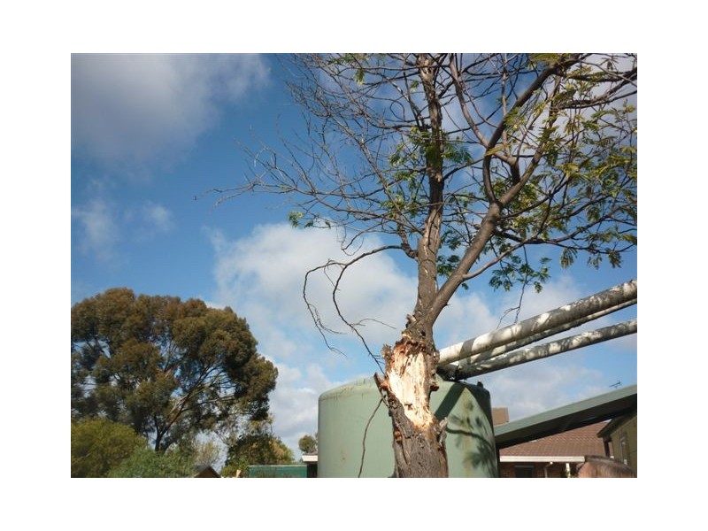 4 John Street, Jeparit VIC 3423